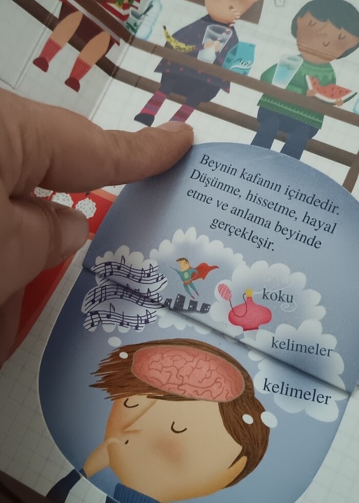 İnsan vücudu hakkında sorular ve yanıtlar - Görsel 5