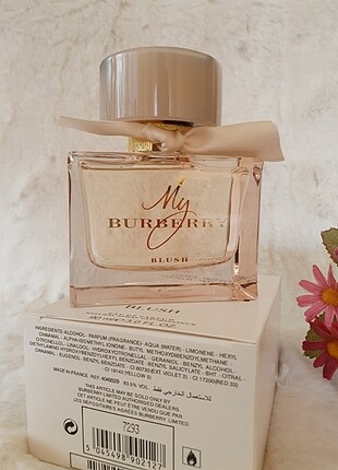 My burberry blush 