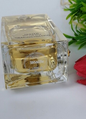  Beden Ysl libre