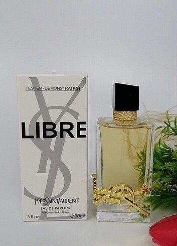 Ysl libre