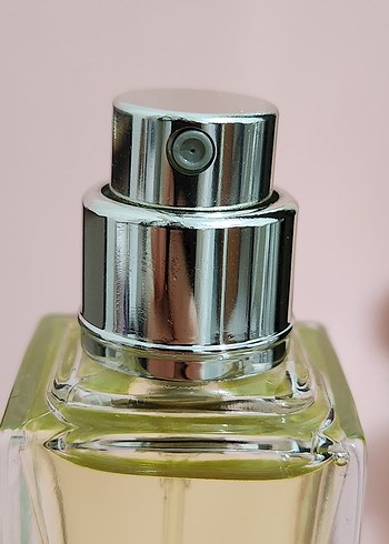Gucci GUCCI ENVY 50 ML EDT bayan