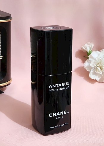 CHANEL ANTAEUS POUR HOMME 100 ML EDT erkek