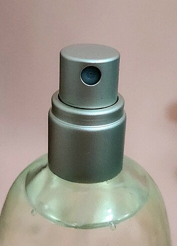 Beden ESTÈE LAUDER PLEASURES 100 ML EDP