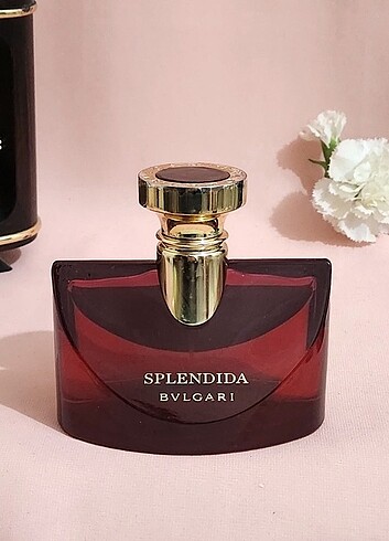 BVLGARI SPLENDİDA MOGNALIA SENSUEL 100 ML EDP
