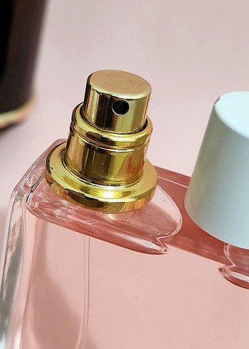 Burberry BURBERRY FOR HER 50 ML EDT