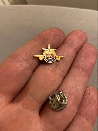Pin- rozet