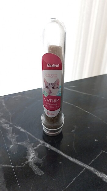 Catnip Kedi Otu