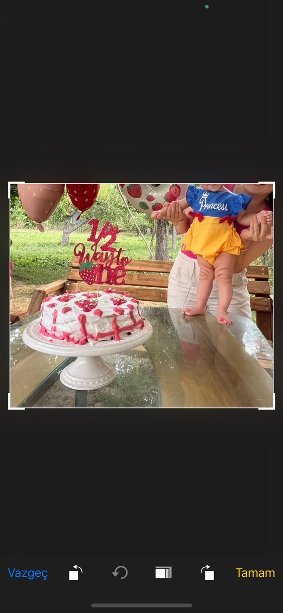 Yarım Yaş Parti Süsleri ve Pasta Seti - Görsel 2