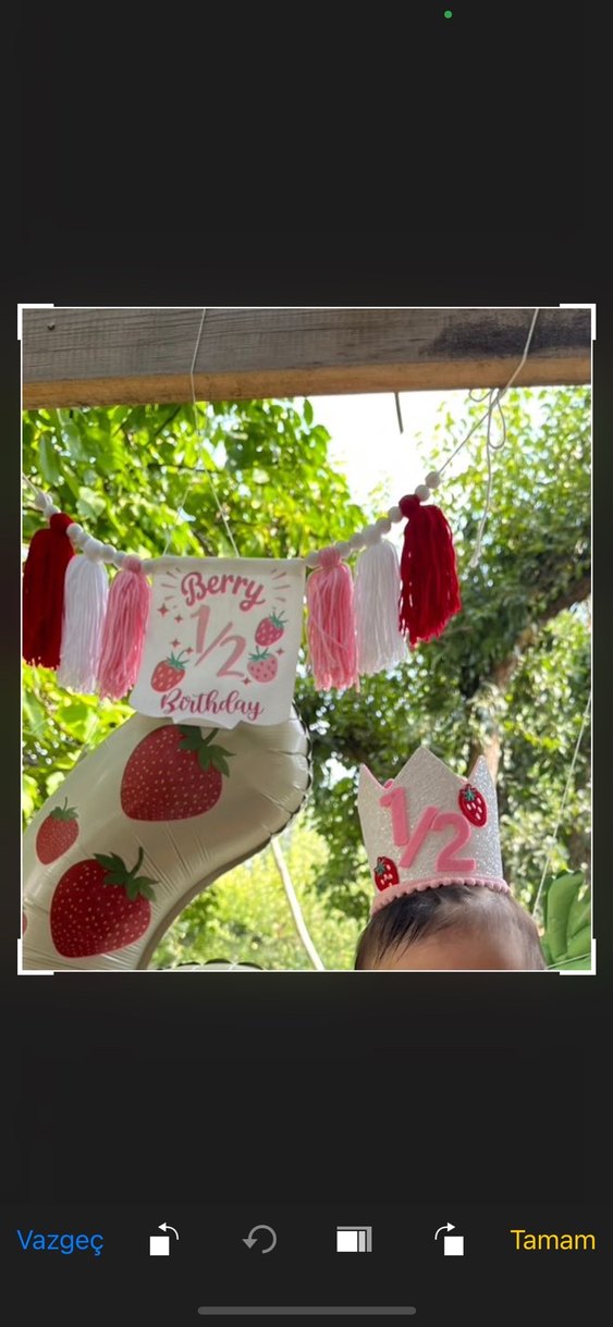 Yarım Yaş Parti Süsleri ve Pasta Seti - Görsel 3