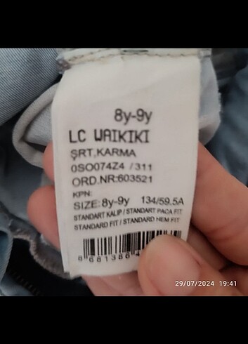 Kot şort