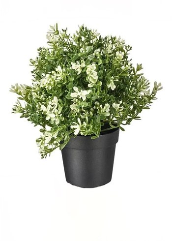 ikea Fejka bitki