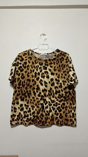 Leopar 