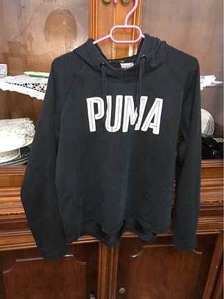 Puma guzel