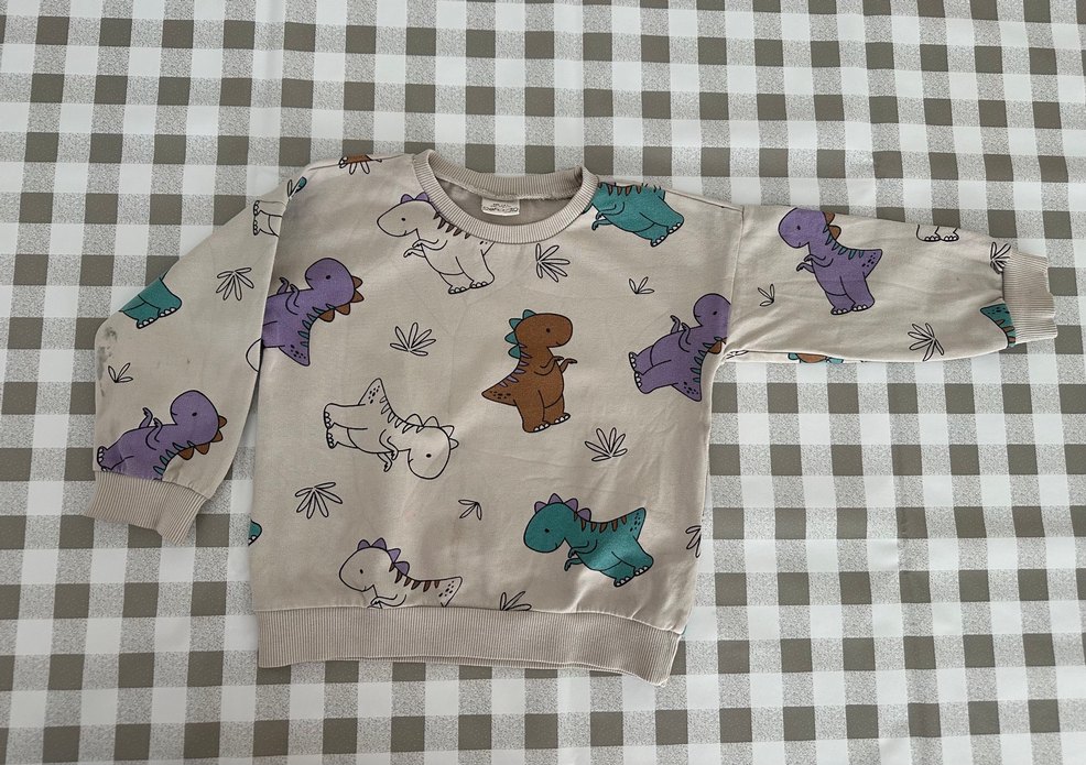 Çocuk Sweatshirt Dinozor Desenli - Görsel 2