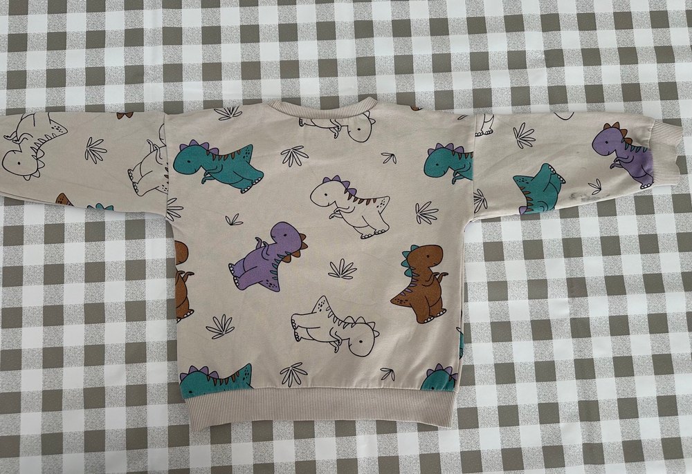 Çocuk Sweatshirt Dinozor Desenli - Görsel 3