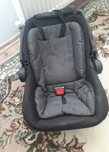 Diğer Beden Puset