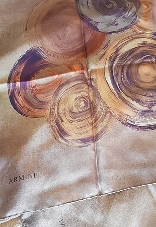 Armine hiçbirşeyi yok 