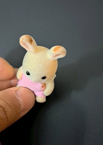 minik tavşan - Görsel 5