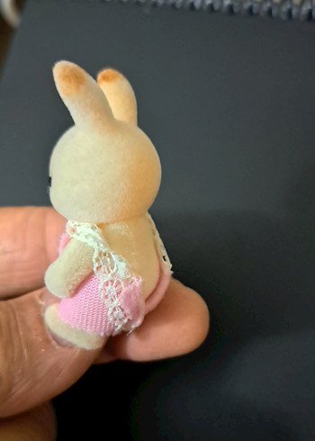 minik tavşan - Görsel 2