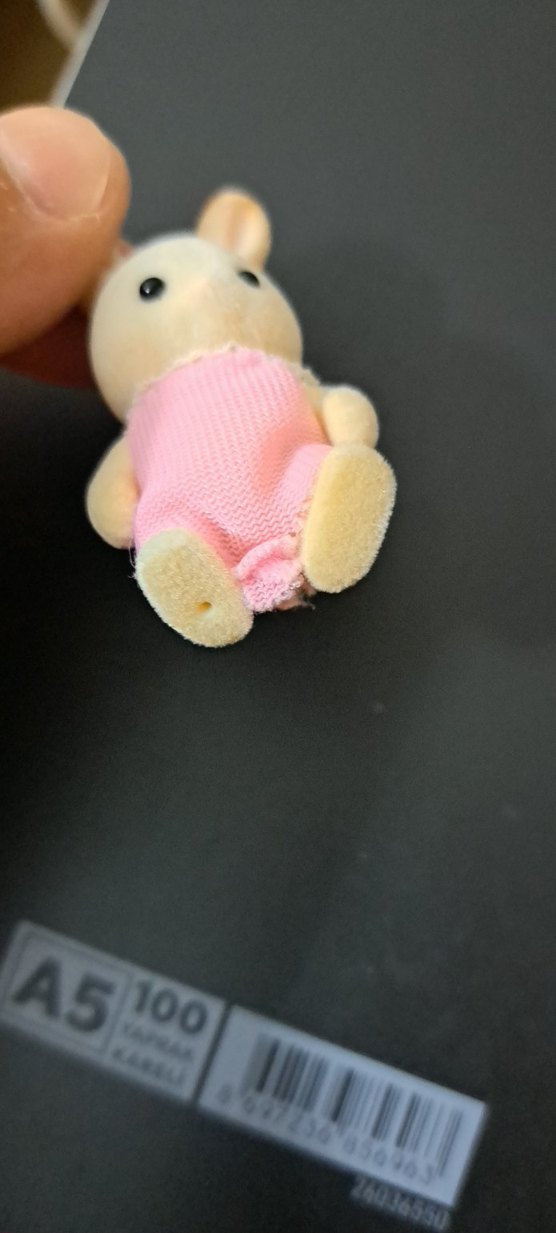 minik tavşan - Görsel 4