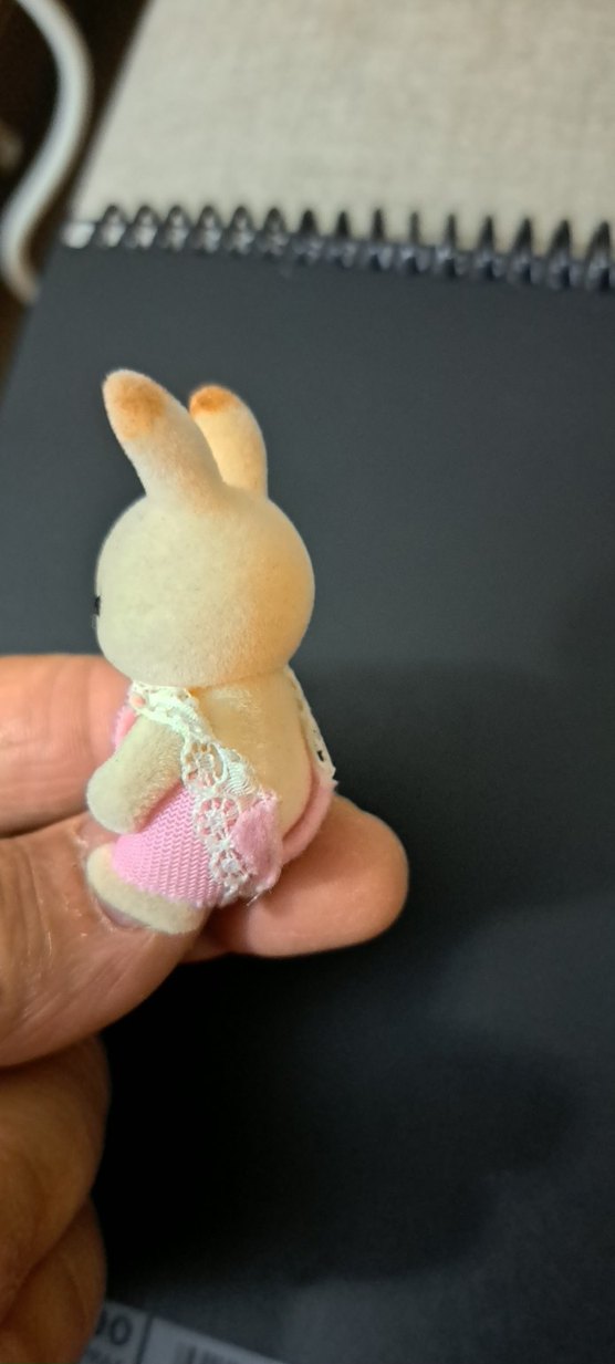 minik tavşan - Görsel 2