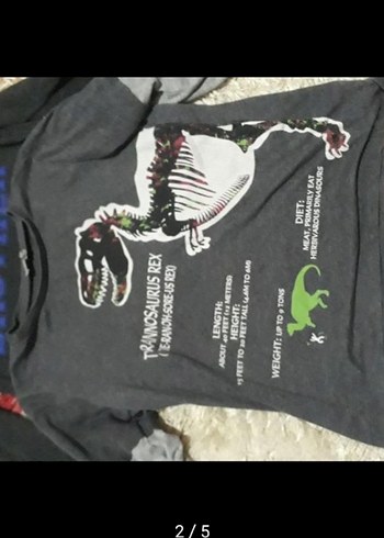 Erkek Çocuk Uzun Kollu Baskılı Sweatshirt - Görsel 2