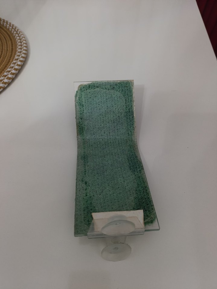 Kaplumbağa Rampası - Görsel 2