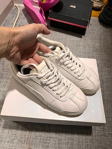 Beyaz puma