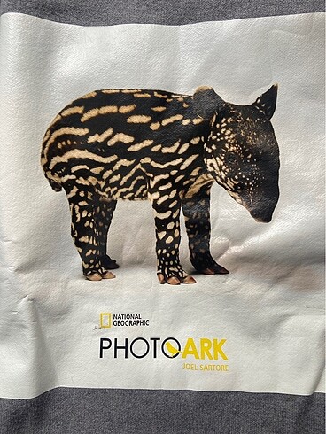 m Beden Zara x National Geographic sweatshirt