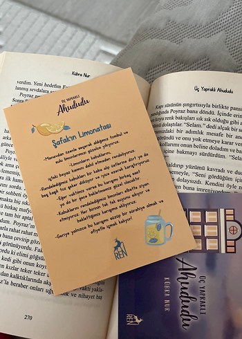 Üç Yapraklı Ahududu - Kübra Nur Ciltli Kitap - Görsel 5