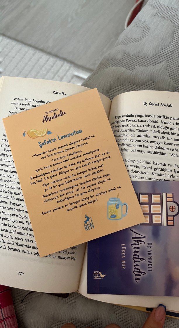 Üç Yapraklı Ahududu - Kübra Nur Ciltli Kitap - Görsel 5