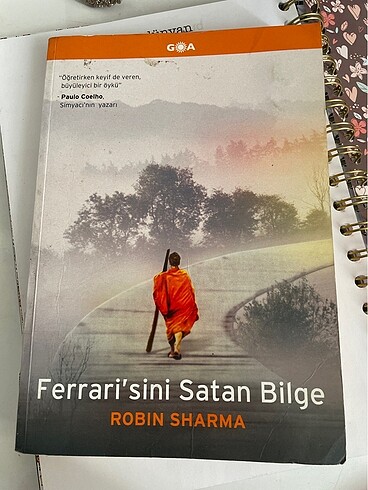 Ferrarisini satan bilge