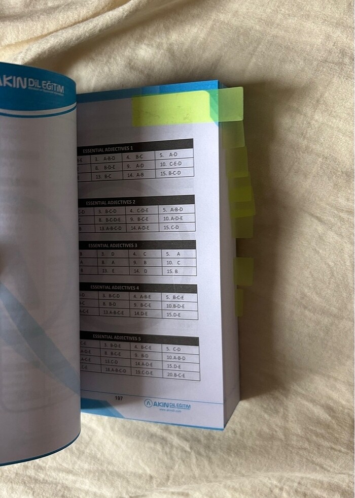 Sözlük akın dil - Görsel 3