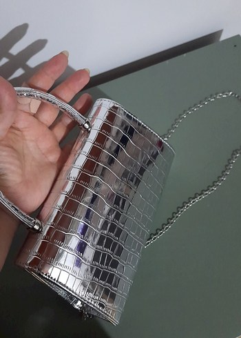 Klasik Şıklık Gri Yılan Desenli Metal Çanta - Görsel 4