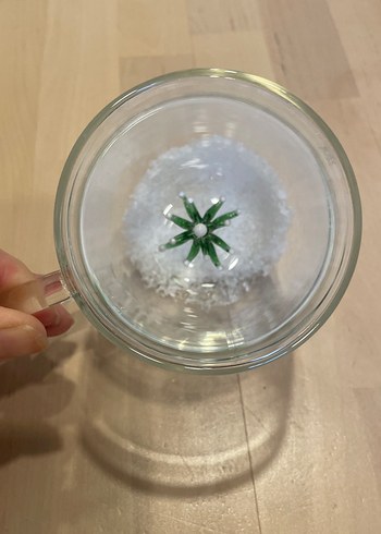 Karaca Yeşil Çam Ağaçlı çift cidarlı Cam Kupa - Görsel 2