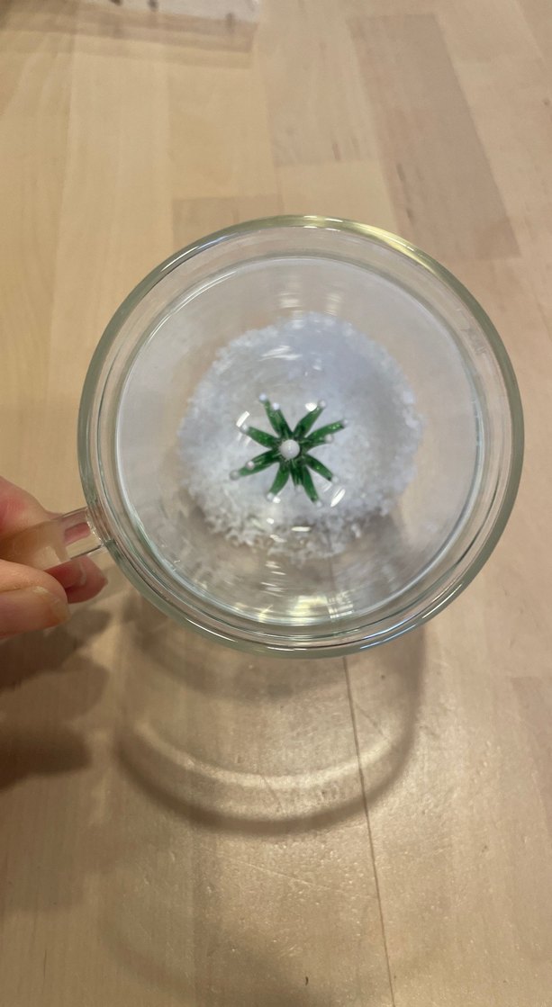 Karaca Yeşil Çam Ağaçlı çift cidarlı Cam Kupa - Görsel 2