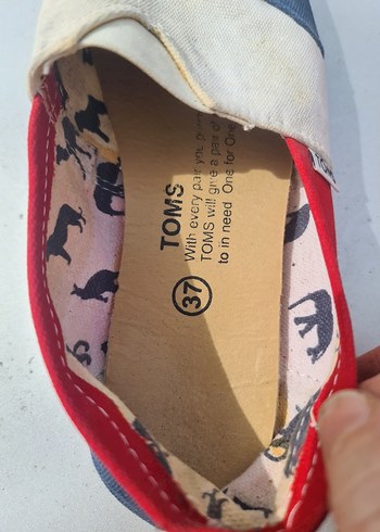 TOMS 37 NO - Görsel 6