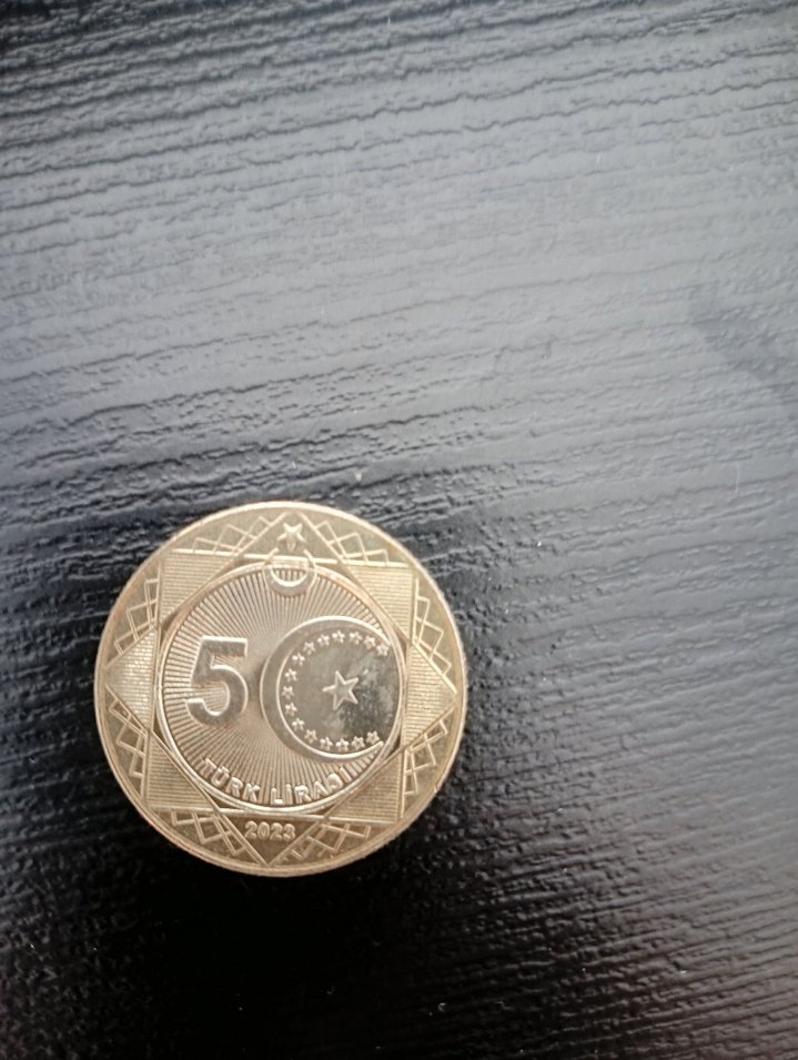 özel seri 100. yıl koleksiyonluk - Görsel 5