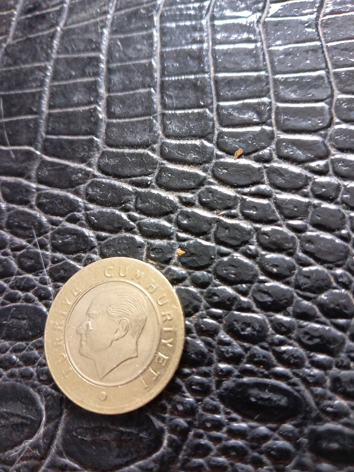 koleksiyonluk defolu 1 tl - Görsel 2