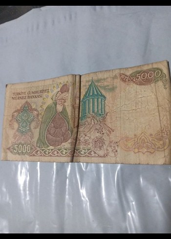Eski 5000 Türk Lirası Banknotu - Görsel 2