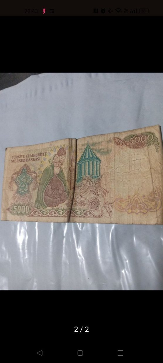 Eski 5000 Türk Lirası Banknotu - Görsel 2