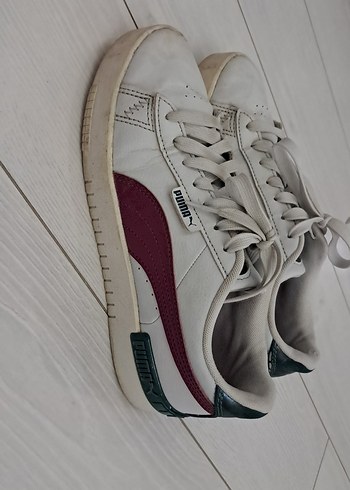 Puma 38