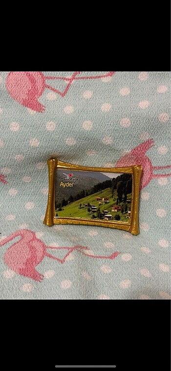Trabzon Ayder yaylası magnet