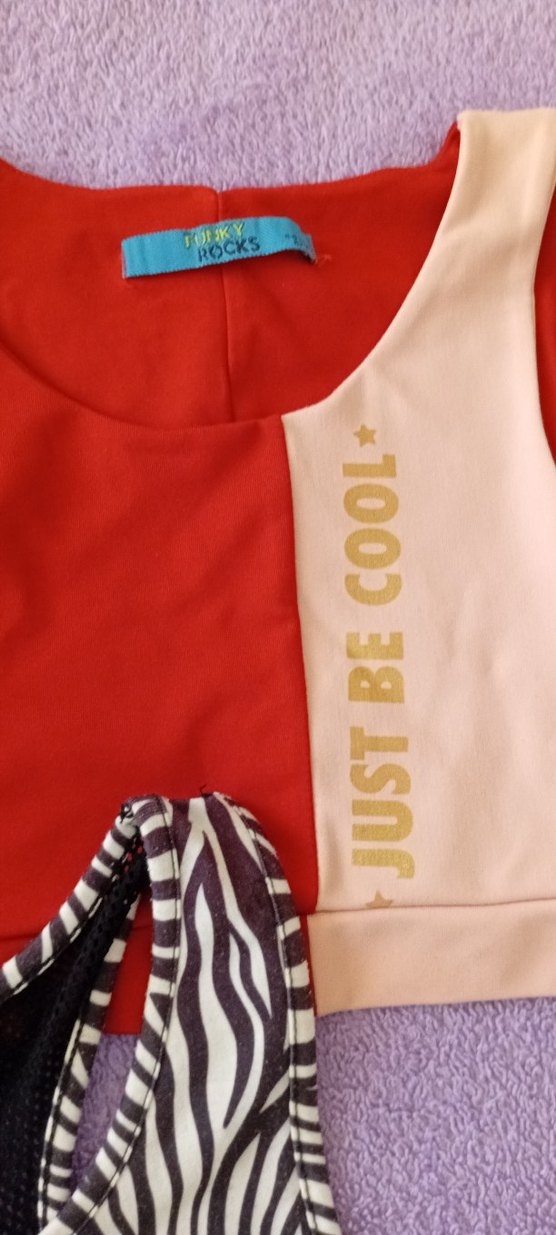 Zebra Desenli Renkli çocuk Mini Spor Üstü - Görsel 3