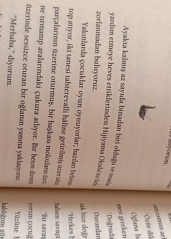 Son Turna Kuşu - Kağıttan Roman - Görsel 3