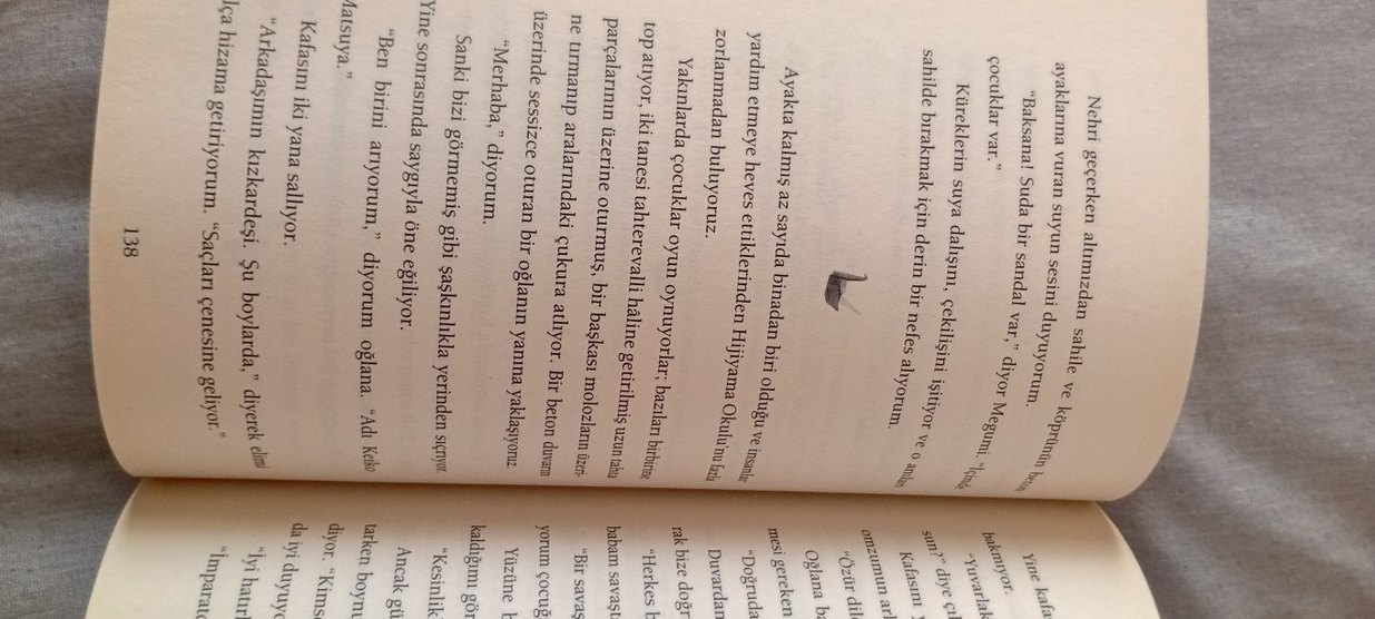 Son Turna Kuşu - Kağıttan Roman - Görsel 3