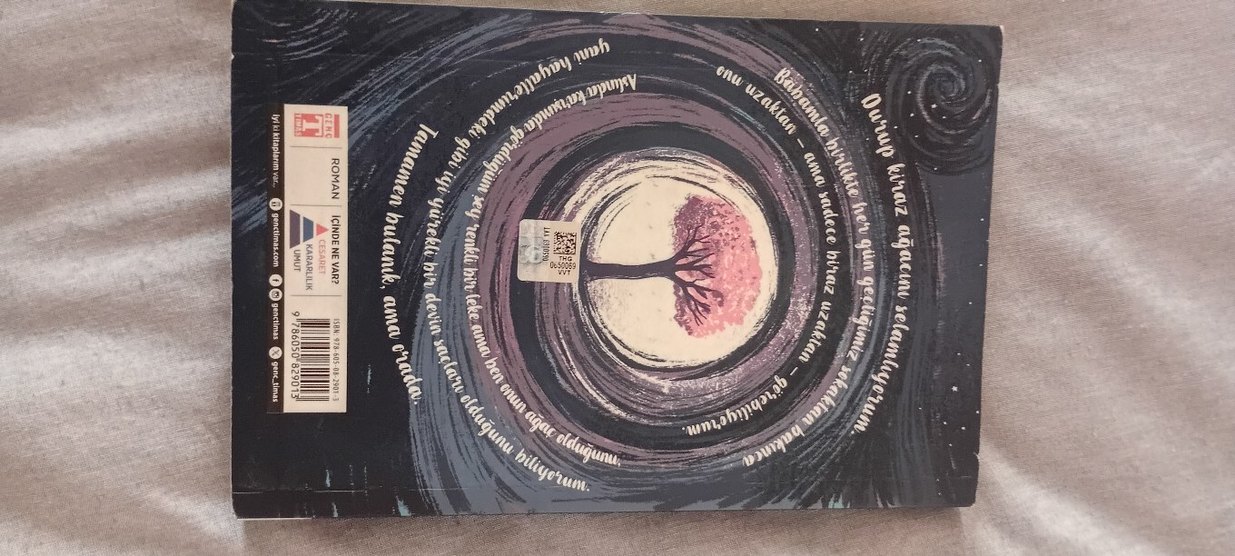 Kiraz ağacı ile aramızdaki mesafe.. kitap - Görsel 2