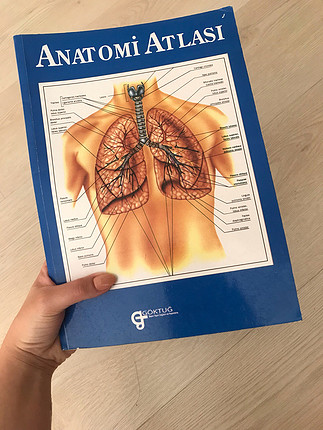 Diğer Detaylı anatomi Atlas'ı