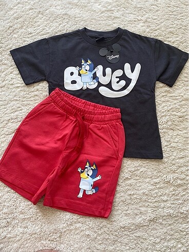 Bluey alt üst takım