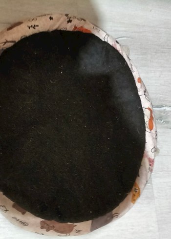 Gri Yumuşak Kedi Yatağı - Görsel 5